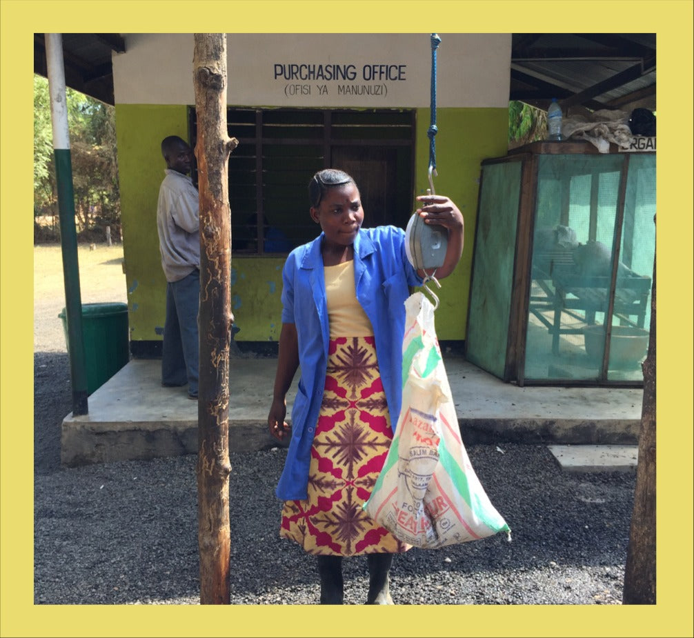 スベンスカ・カカオ ダークネス タンザニア産 100％ダークチョコレート 50g