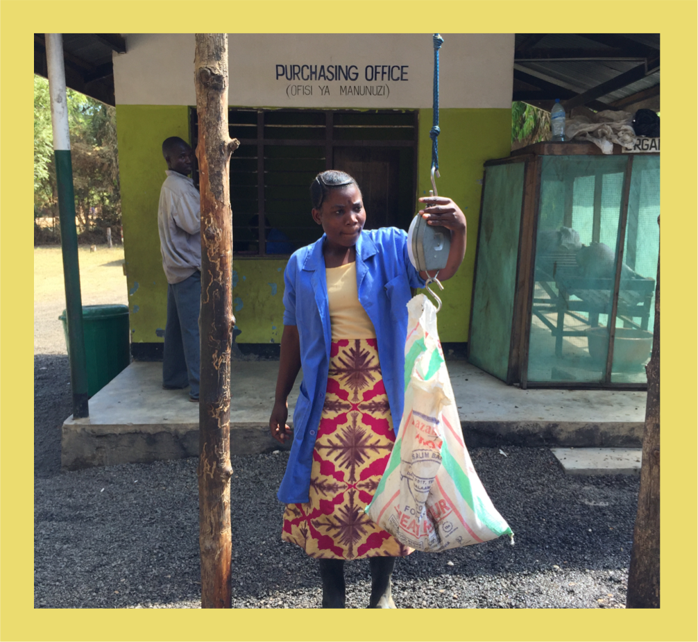 スベンスカ・カカオ タンザニア 74％ ココアカミリ